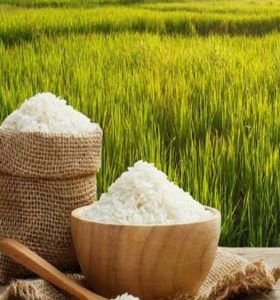 قیمت برنج ایرانی و وارداتی