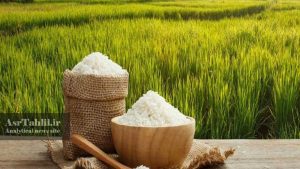 قیمت برنج