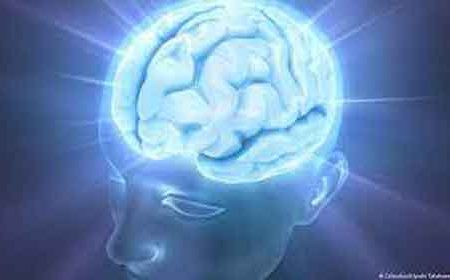 کاهش حجم ماده خاکستری مغز در بیماران کرونای