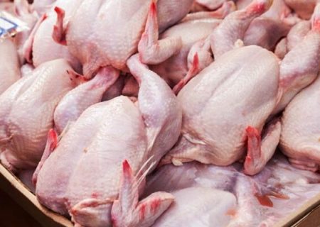 از افزایش قیمت تا نبود مرغ در خرده‌فروشی‌ها