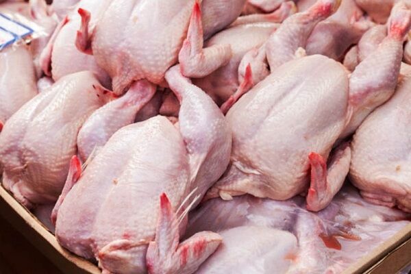 از افزایش قیمت تا نبود مرغ در خرده‌فروشی‌ها