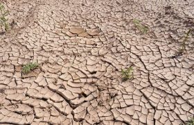 خشکسالی بیخ گوش ایران