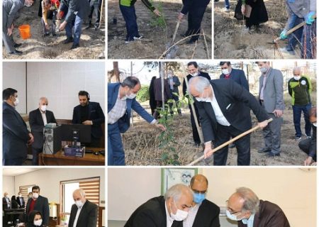 کاشت نهال به مناسبت روز درخت کاری توسط مدیر مخابرات اصفهان