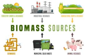 انرژی زیست توده « Biomass Energy » چیست و چه کاربردهایی دارد؟