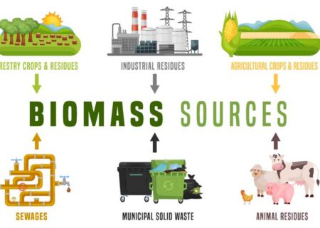 انرژی زیست توده « Biomass Energy » چیست و چه کاربردهایی دارد؟