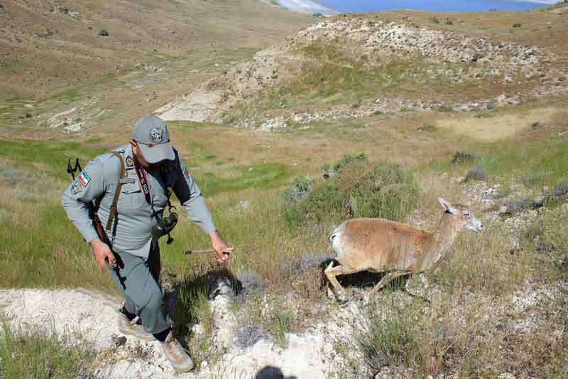 ثبت روز محیط بان به تصویب رسید