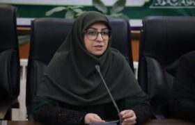 کمتر از ۲۰ درصد برنامه ششم توسعه در حوزه محیط زیست محقق شد